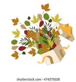 open box with the autumn leaves.