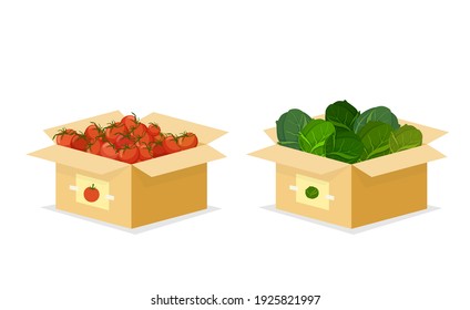 Open box with cabbage and tomatoes. Organic red vegetables with fresh green salad greens eco natural products grown on bio vector farm.