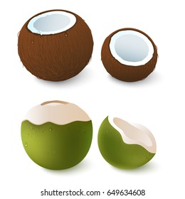 Open brown and green coconut. Exotic attribute of summer vacation. Isolated on white.Vector 3d illustration. Eps 10.
