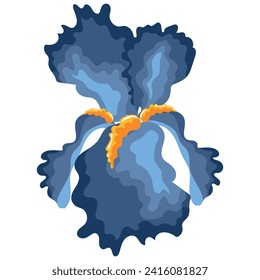 open bud of a blue, wild iris with yellow centers on a white background, vector