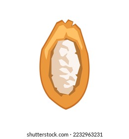 Open cacoa bean cartoon illustration. Ingredients of sweet chocolate dessert isolated on white background. Restaurant, nutrition concept.
