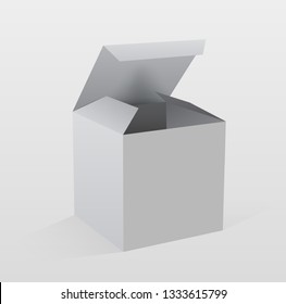 Open carboard box , Vector Illustration