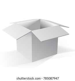 Open carboard box , vector Illustration