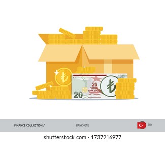 Open cardboard box with coins and 20 Turkish Lira banknote. Flat style vector illustration.
