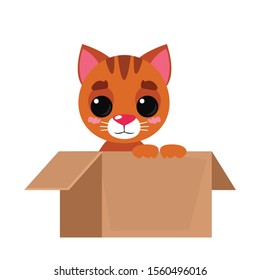 Open cardboard box package with a cute red fluffy cat inside. Vector illustration in cartoon flat style.