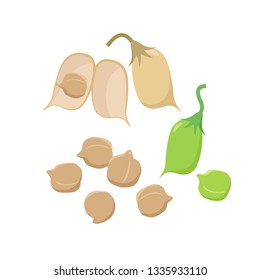 Open chickpea pod and various ripe chickpeas seeds isolated on white background vector illustration in flat design.