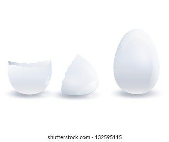 Open and close egg. Vector design.
