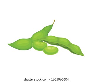 Open and Closed Green Soybean Pods Vector Items