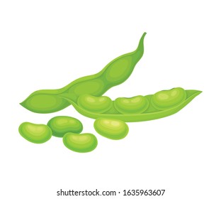Open and Closed Green Soybean Pods Vector Items