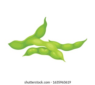 Open and Closed Green Soybean Pods Vector Items