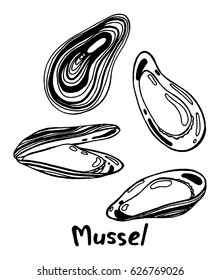 Open and closed mussel's shells with meat. Hand drawn isolated illustration set with the inscription on a white background