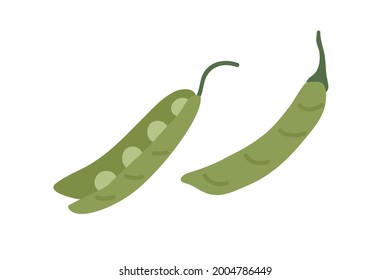 Open and closed pea pods with fresh raw green beans. Organic vegetable with seeds. Healthy natural food. Sweet veggie composition. Flat vector illustration isolated on white background