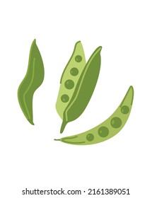 Open and closed peas pods with ripe green beans. Composition of organic vegetable with seeds. Fresh healthy food. Icon of farm crop. Flat vector illustration isolated on white background