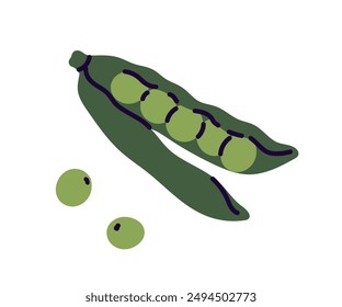 Open and closed ripe pod of peas, green sweet peas, green beans, legume, healthy nutrition, raw fresh vitamin food, natural vegetarian source of protein, fresh vegetables flat vector illustration.