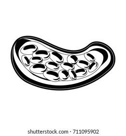 open cocoa fruit and beans icon image