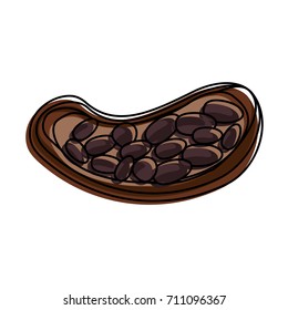 open cocoa fruit and beans icon image
