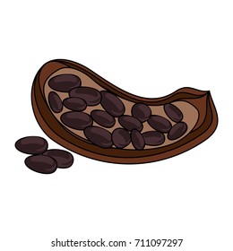 open cocoa fruit and beans icon image 