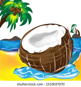 Open coconut on the beach with beautiful sea view
