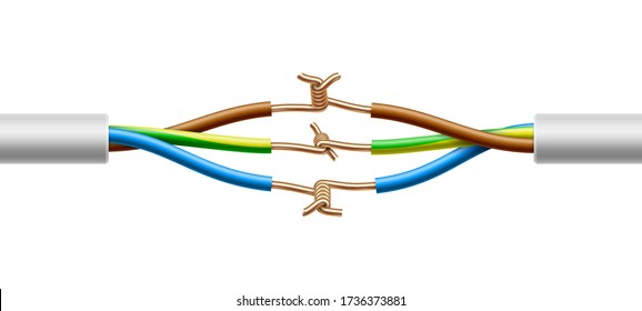 Open connection of two electric multicore cables structure. Vector realistic illustration isolated on white background.
