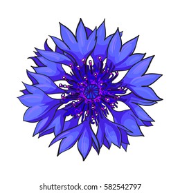 Flor de maiz abierta, vista superior, Ilustración vectorial de estilo de boceto aislada sobre fondo blanco.