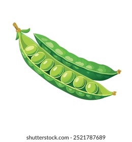 Edamame Aberto Pod Mostrando Ilustração De Vetor De Ervilhas