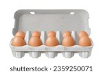 Open egg box with ten brown eggs isolated on white background. Fresh organic chicken eggs in carton pack or egg container or tray. Realistic 3d vector illustration
