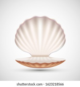 Open empty seashell icon isolated on a white background. Vector illustration