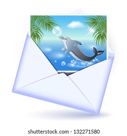 Open envelope and card with image dolphin