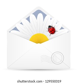 Open envelope with chamomile flower and ladybird. Vector illustration.