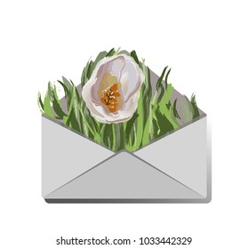 Open envelope with white tulip and green grass. Oil painting imitation. Spring greeting card.