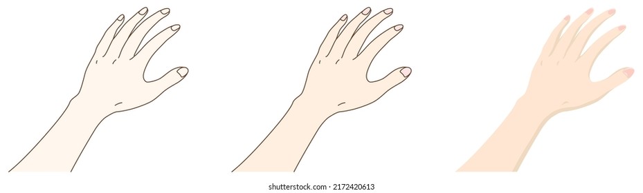 Open female hands. Vector illustration.