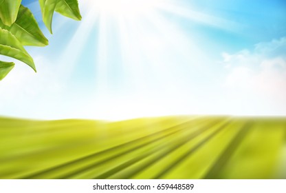 open fields illustration, can be used as background