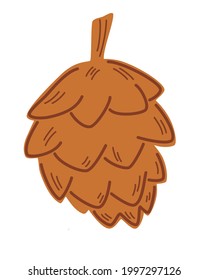 Open fir cone. Conical fruit of conifer tree. Nature theme. Brown fir cone. Element for Christmas postcard, poster, and decor. Vector illustration isolated on a white background.