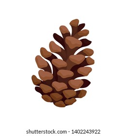 Open fir cone. Vector illustration on white background.