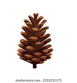 Open fir cone. Vector illustration on white background.