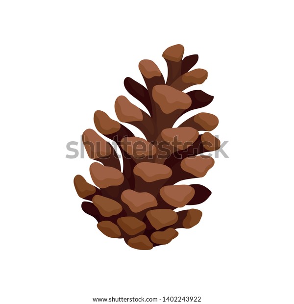 74,332 Seed Cone Images, Stock Photos & Vectors 