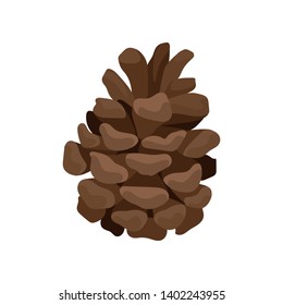 Open fir-cone on a white background. Vector vertical illustration.