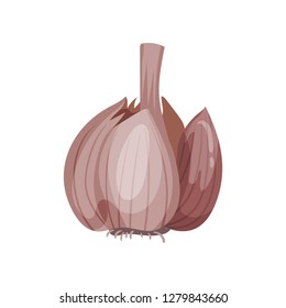 Open garlic head with separated cloves. Natural and healthy product. Organic food. Cooking ingredient. Flat vector icon