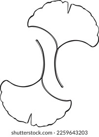 Open Ginkgo Leaf shapes. Natural, asian, Japanese iconography. Simple hand drawn two leaves pattern.