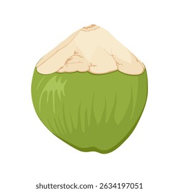 Open green coconut. Hand drawn drinking coconut. Beach cocktail. Beach party.