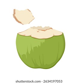 Open green coconut. Hand drawn drinking coconut. Beach cocktail. Beach party.