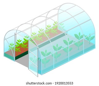 Open greenhouse glass with green plants isometric icon isolated on white background. Vector cartoon illustration