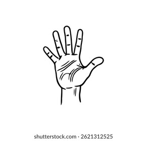 Open hand depicted with fingers pointing upward, inviting gesture, communication tool, anatomical illustration for medical purposes, symbol. on a transparent background