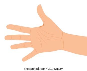 Open Hand gesture, human palms, and wrist