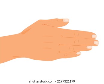 Gesto de la mano abierta, palmas humanas y muñeca