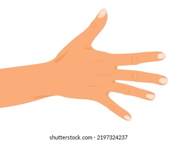 Open Hand gesture, human palms, and wrist