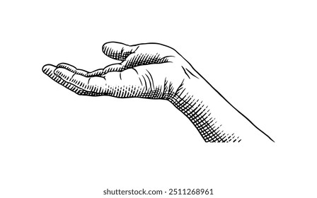  Open hand giving or receiving for business ideas. Vector clipart illustration. Line and Ink sketch. Hand drawn Vintage style. 