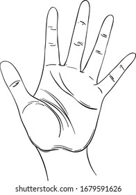 Open hand.  Human palm. Hand drawn illustration. Palmistry  vector illustration. Ink style tattoo flash design. Vector isolated on white. Astrology, Sacred Spirit.