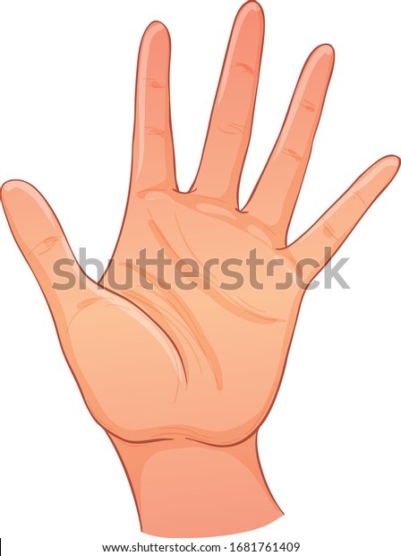 Open hand.  Human palm.\
Hand drawn illustration. Palmistry  vector illustration. Ink style\
tattoo flash design. Vector isolated on white. Astrology, Sacred\
Spirit.