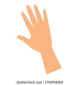 Open hand, human palm, fingers. Isolated vector illustration